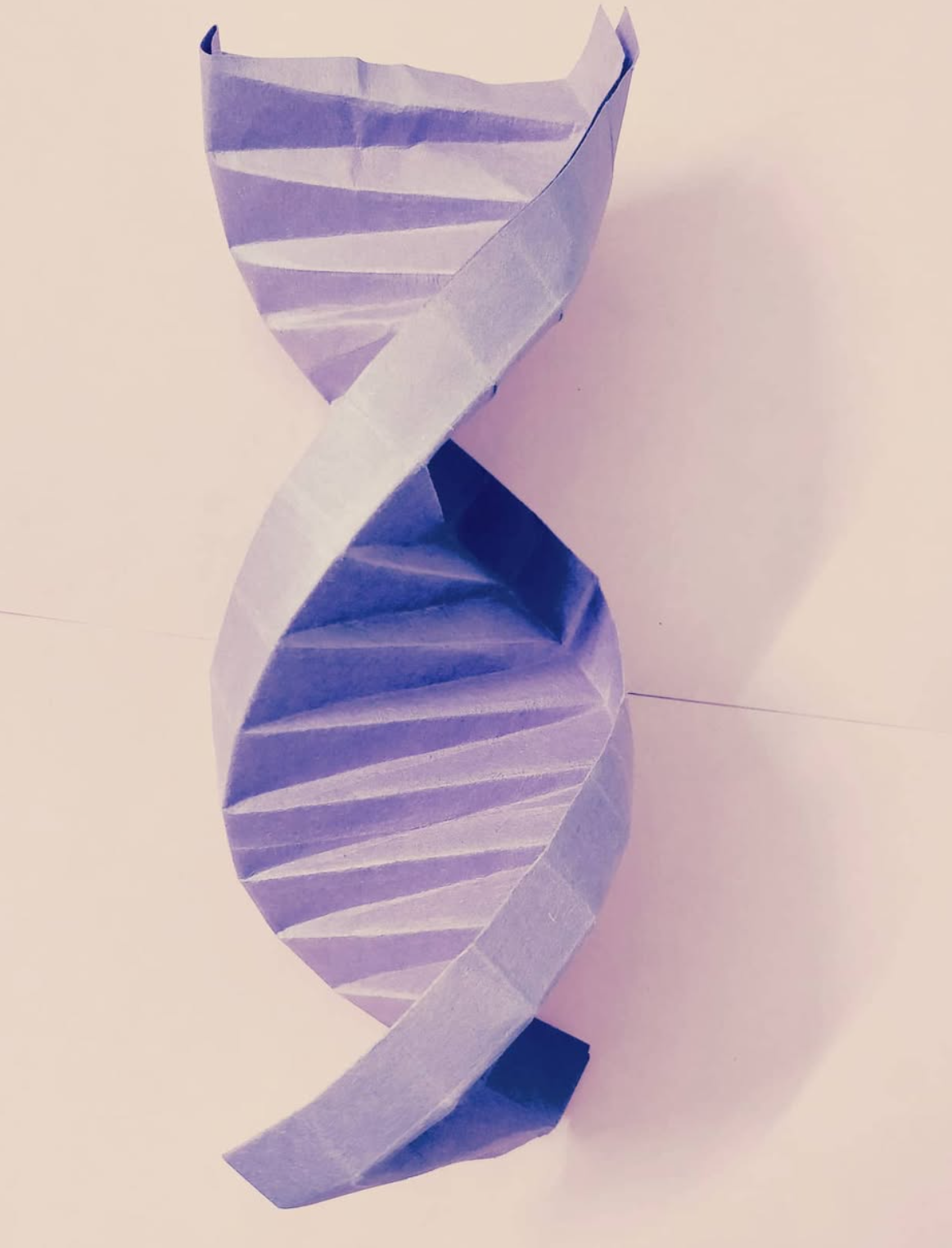 Origami 4